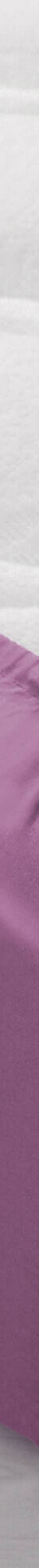 Drap-housse uni coton bonnet 32 cm (figue) Drap-housse uni coton bonnet 32 cm (figue)